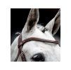 Uzdečka HORSEWARE Cavesson s anglickým nánosníkem brown FULL