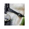 Uzdečka HORSEWARE Cavesson Pony s anglickým nánosníkem brown SHETTY