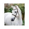 Uzdečka HORSEWARE Cavesson Pony s anglickým nánosníkem brown SHETTY