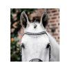 Uzdečka HORSEWARE Diamante se švédským nánosníkem black/silver FULL