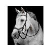 Uzdečka HORSEWARE Micklem Deluxe Competition 3 black FULL
