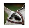 Uzdečka HORSEWARE Hunter s anglickým nánosníkem brown XFULL