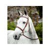 Uzdečka HORSEWARE Hunter s anglickým nánosníkem brown XFULL