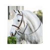 Uzdečka HORSEWARE Hunter Pony s anglickým nánosníkem brown PONY
