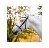 Uzdečka HORSEWARE Cavesson s anglickým nánosníkem black XFULL