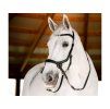 Uzdečka HORSEWARE Micklem Bitless Bridle 3 black COB