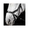 Uzdečka Micklem Bitless Bridle black COB