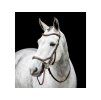 Uzdečka Micklem Bitless Bridle brown PONY