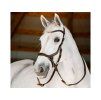 Uzdečka HORSEWARE Micklem Bitless Bridle 3 brown COB