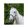 Ohlávka HORSEWARE Grooming navy COB