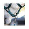 Ohlávka s vodítkem HORSEWARE Dynasty green FULL