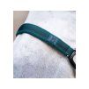 Ohlávka s vodítkem HORSEWARE Dynasty green FULL