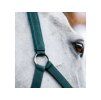 Ohlávka s vodítkem HORSEWARE Dynasty green FULL