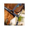 Ohlávka s vodítkem HORSEWARE Amigo navy FULL