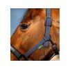 Ohlávka s vodítkem HORSEWARE Amigo navy FULL