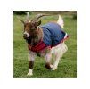 Deka pro kozy HORSEWARE 200g navy/red (XL)