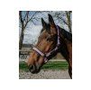Ohlávka EQUITHEME Pearl lavender COB