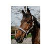Ohlávka EQUITHEME Pearl taupe COB