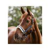 Ohlávka WALDHAUSEN Elegant night blue PONY