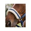 Ohlávka WALDHAUSEN Elegant night blue COB