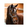 Ohlávka WALDHAUSEN Athletic chrome grey COB