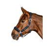 Ohlávka WALDHAUSEN Breath night blue FULL