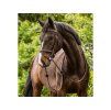 Uzdečka TRUST Calgary s anglickým nánosníkem brown/gold COB