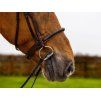 Uzdečka TRUST Dublin Rope s anglickým nánosníkem brown/gold COB
