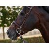 Uzdečka TRUST Hamburg s anglickým nánosníkem brown/silver FULL