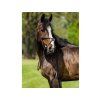 Uzdečka TRUST Oslo s mexickým nánosníkem brown/gold COB