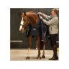 Liner HORSEWARE 50g navy/navy 115cm