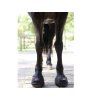 Boty pro koně CAVALLO Trek užší black (2) (pár)