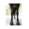 Boty pro koně CAVALLO Trek užší black (4) (1ks)