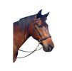 Bezudidlová uzdečka F.R.A. Ulan brown COB