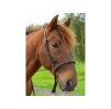 Bosal F.R.A.Tigo brown (32cm/S)