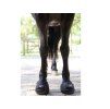 Boty pro koně CAVALLO Trek black (4) (1ks)