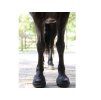 Boty pro koně CAVALLO Trek black (5) (1ks)