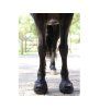 Boty pro koně CAVALLO Trek black (6) (1ks)