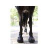 Boty pro koně CAVALLO Trek black (1) (pár)