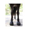 Boty pro koně CAVALLO Trek black (2) (1ks)