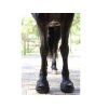 Boty pro koně CAVALLO Trek užší black (6) (1ks)