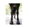 Boty pro koně CAVALLO Trek užší black (1) (pár)