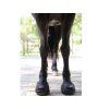 Boty pro koně CAVALLO Trek užší black (2) (1ks)