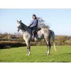 Jezdecký pad F.R.A. Macon Extra black/black COB