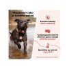 Tracker DOGTRACE DOG GPS ultra pro psy