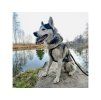 Tracker DOGTRACE DOG GPS ultra pro psy