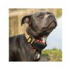 Tracker DOGTRACE DOG GPS ultra pro psy
