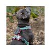 Tracker DOGTRACE DOG GPS ultra pro psy
