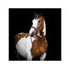 Obnosek F.R.A. Wendy mocca FULL