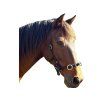 Obnosek F.R.A. Keto black COB